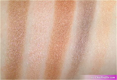 dior eyeshadow sienna terra swatch|Dior Terra (786) Eyeshadow Palette Review & Swatches .